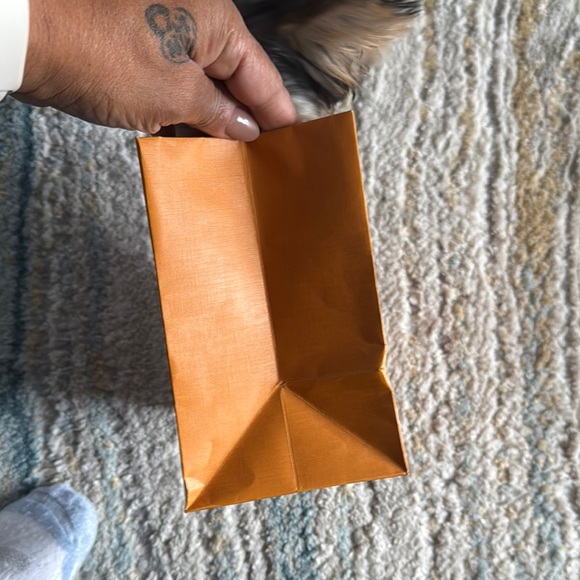 Louis Vuitton small Orange Bag with Blue Handles shopping bag - Picture 5 of 5